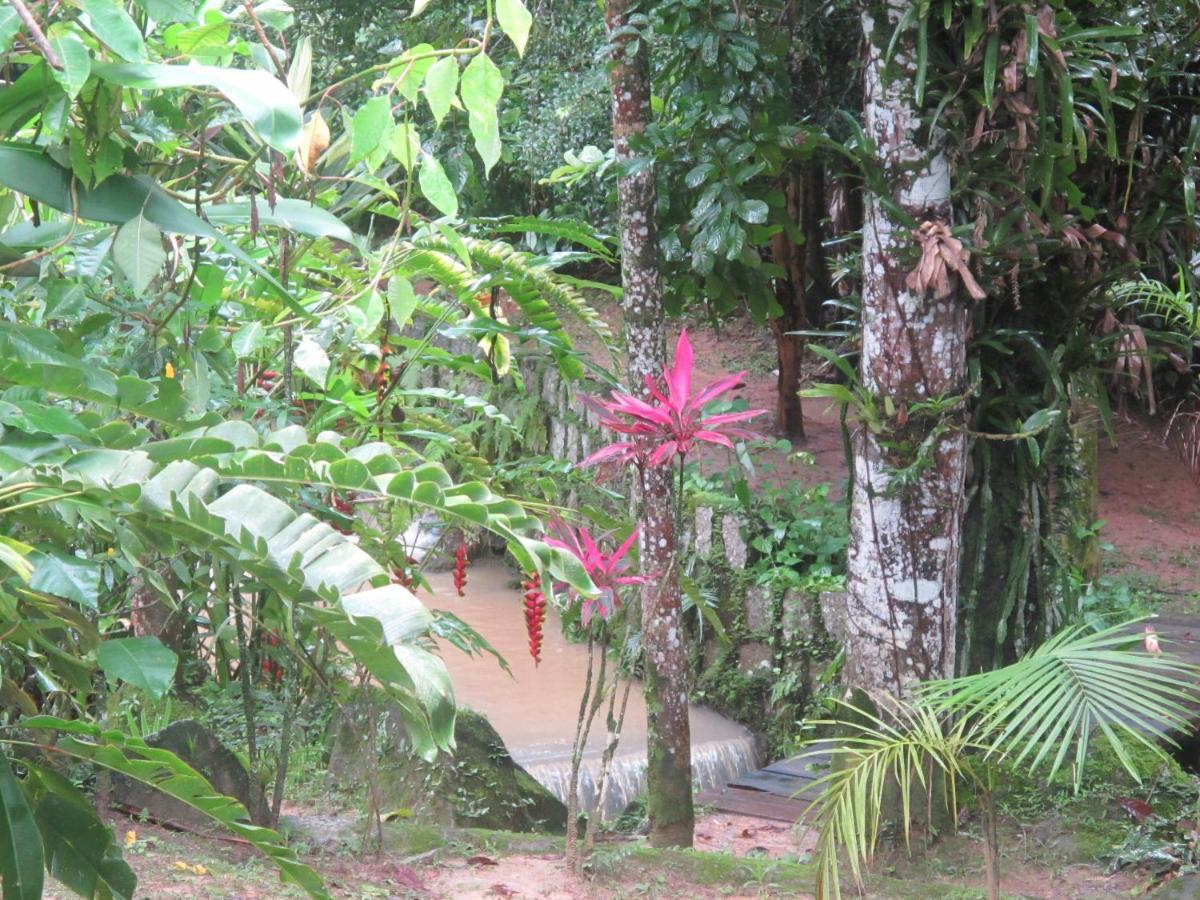 Vila Janela Dos Meus Sonhos Penedo  Exteriér fotografie